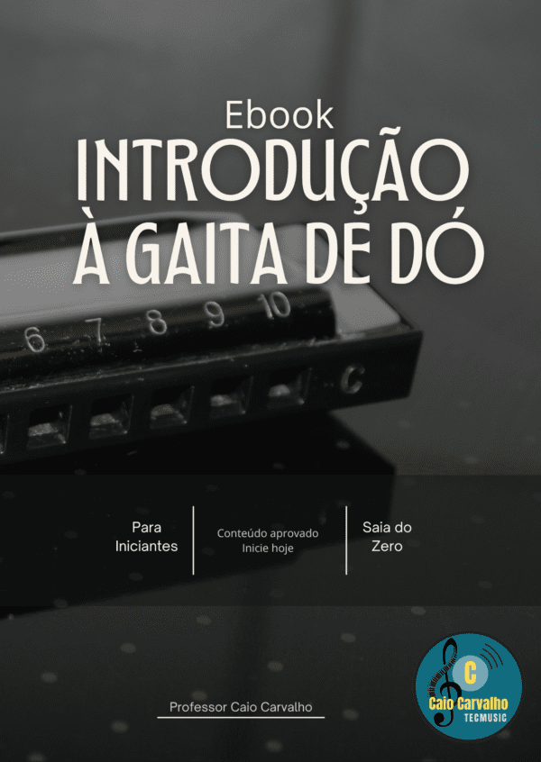 eBook Introdução à Gaita de Dó